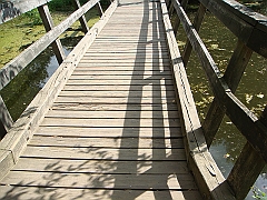 069 Longwood Gardens [2008 August 23]